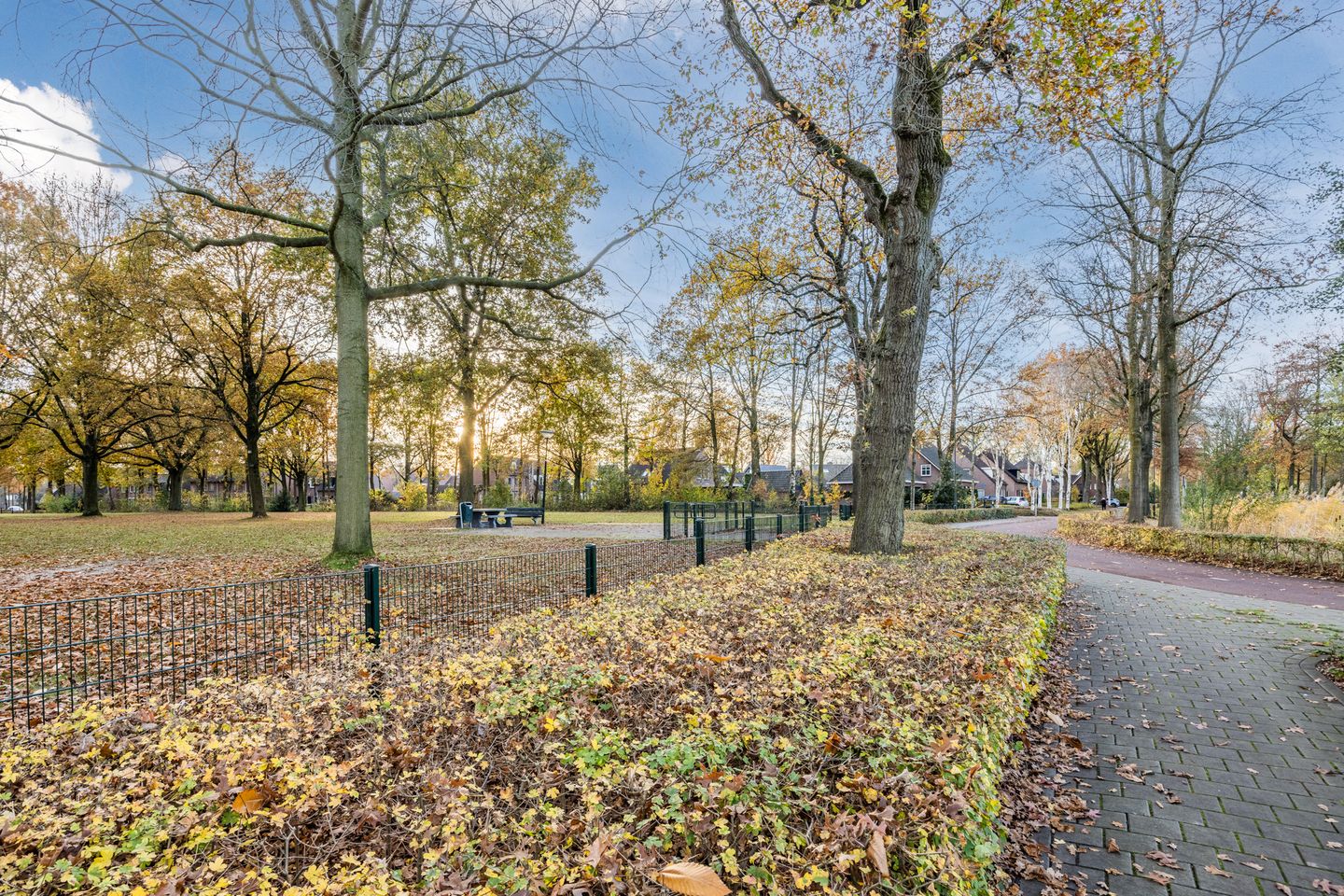 Foto 55 van Kalverekker 6