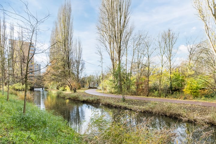 Foto 39 van Maimonideslaan 117