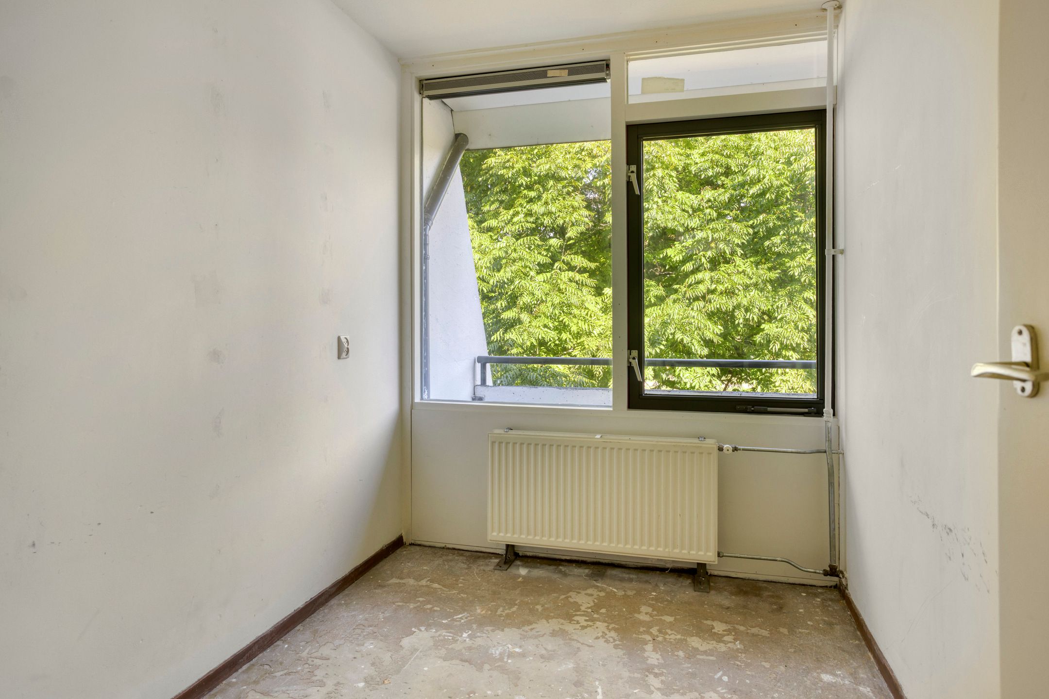 Photo 24 of Meijhorst 9104