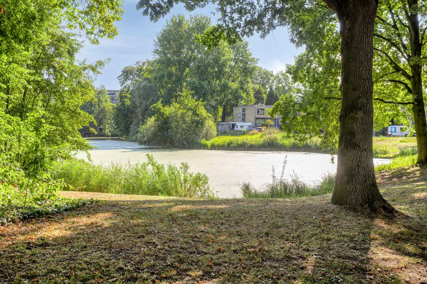 Photo 50 of Meijhorst 9104