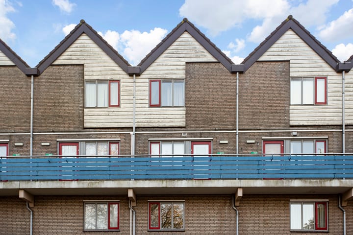 Foto 2 van Antilopespoor 526