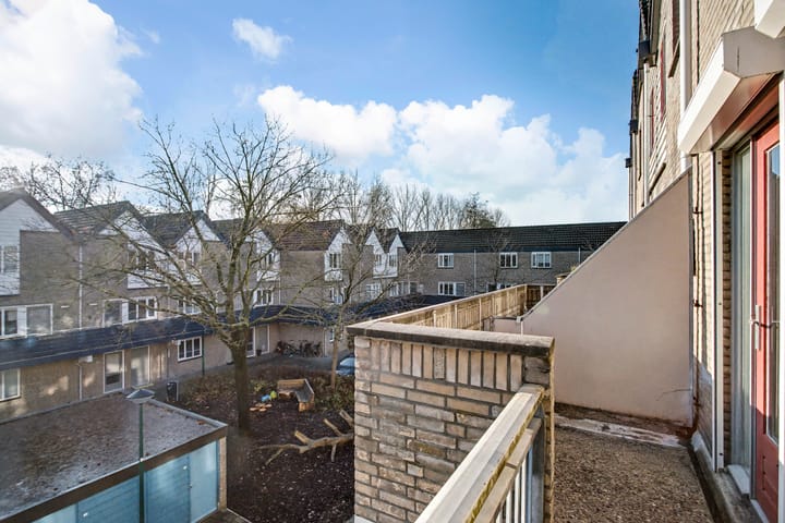 Foto 15 van Antilopespoor 526