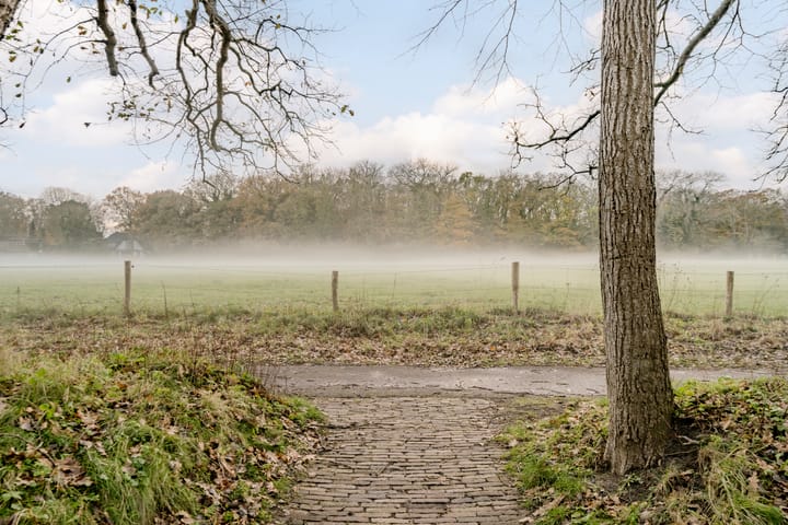 Photo 37 of Gemene Bos 23