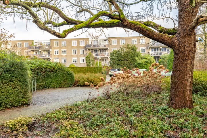 Foto 37 van M.K. Gandhiplein 26