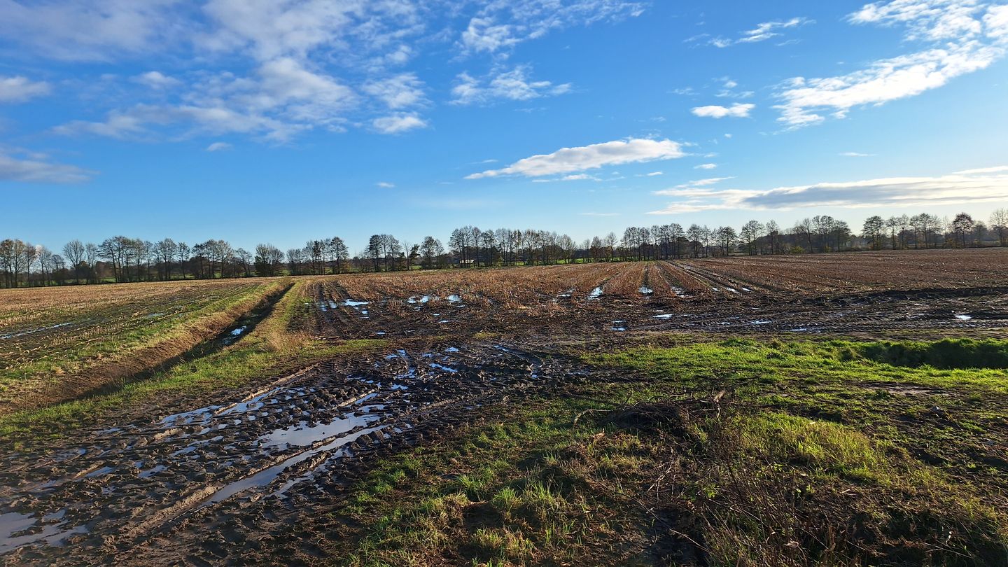 Bekijk foto 3 van Europaweg