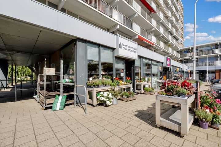 Foto 43 van van der Fuyckstraat 77