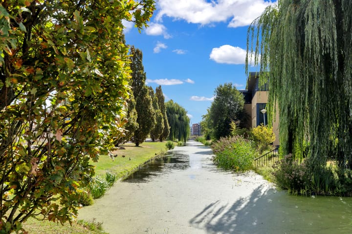 Foto 45 van van der Fuyckstraat 77