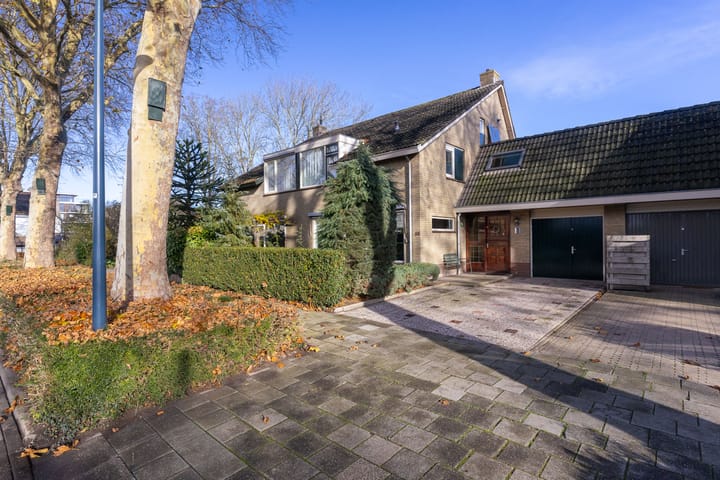 Plantage 55 main image