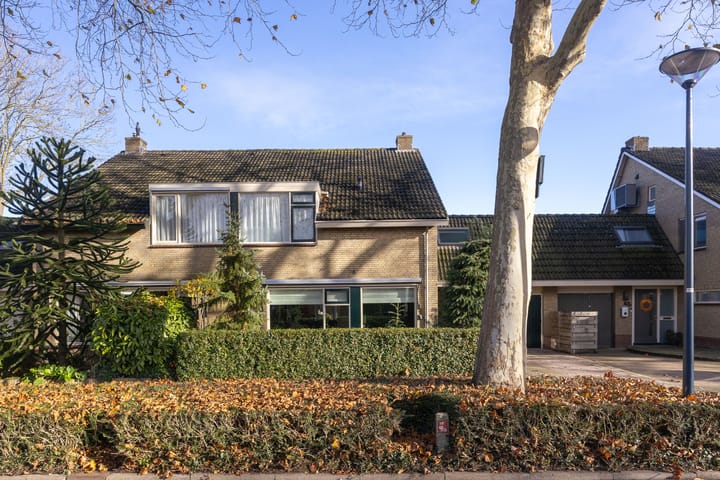 Photo 6 of Plantage 55