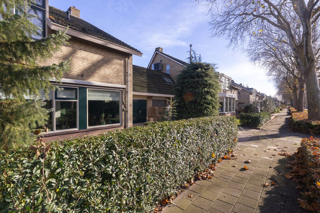 Photo 7 of Plantage 55