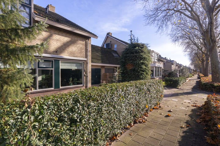 Photo 7 of Plantage 55