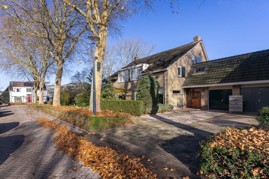 Photo 8 of Plantage 55