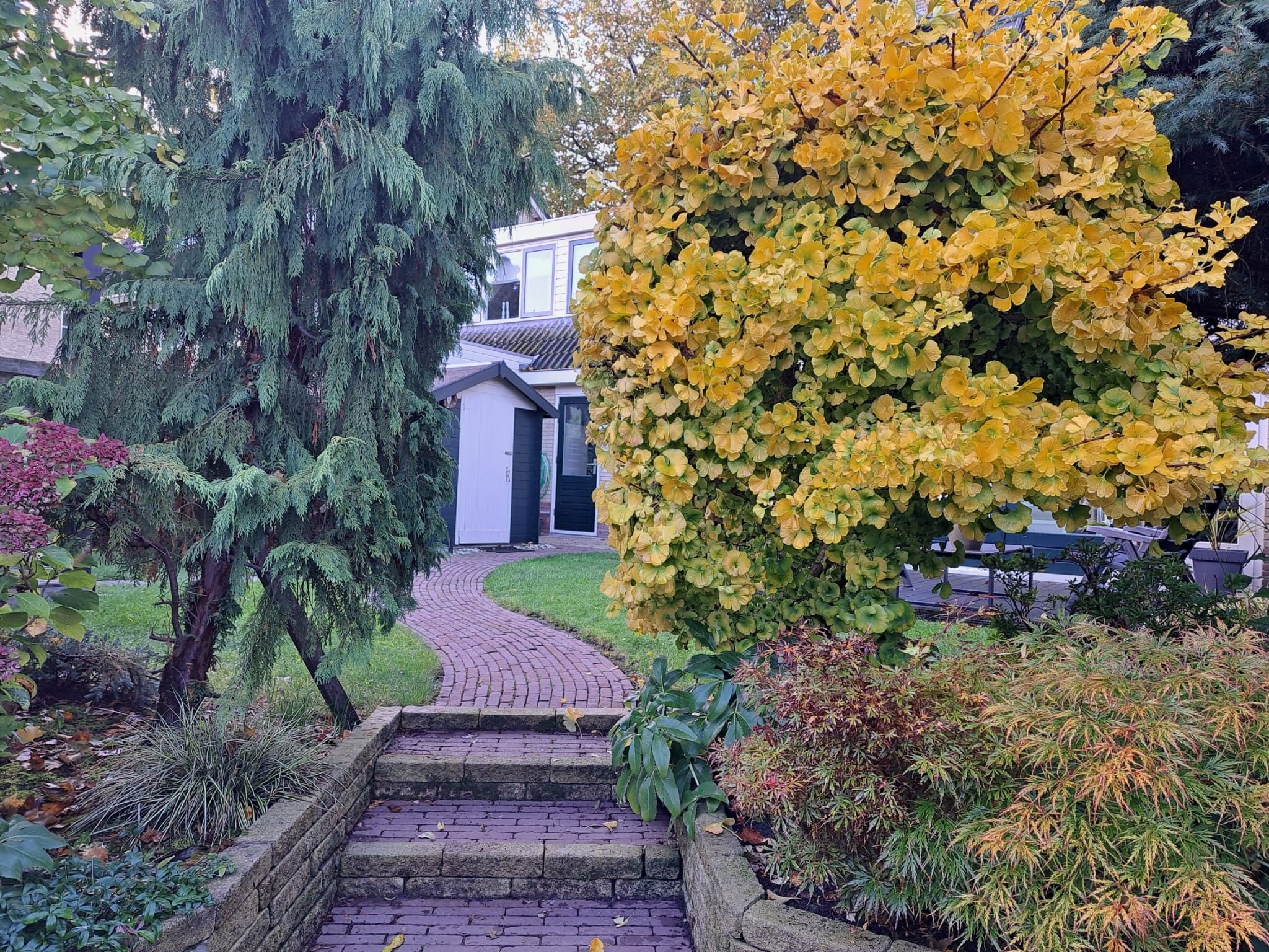 Photo 27 of Plantage 55