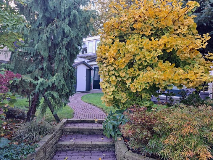 Photo 27 of Plantage 55