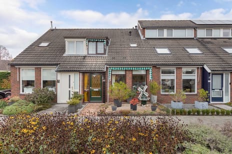 undefined main image