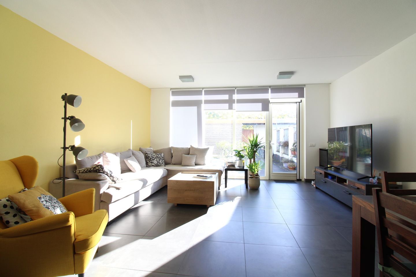 Foto 1 van Grasplant 24