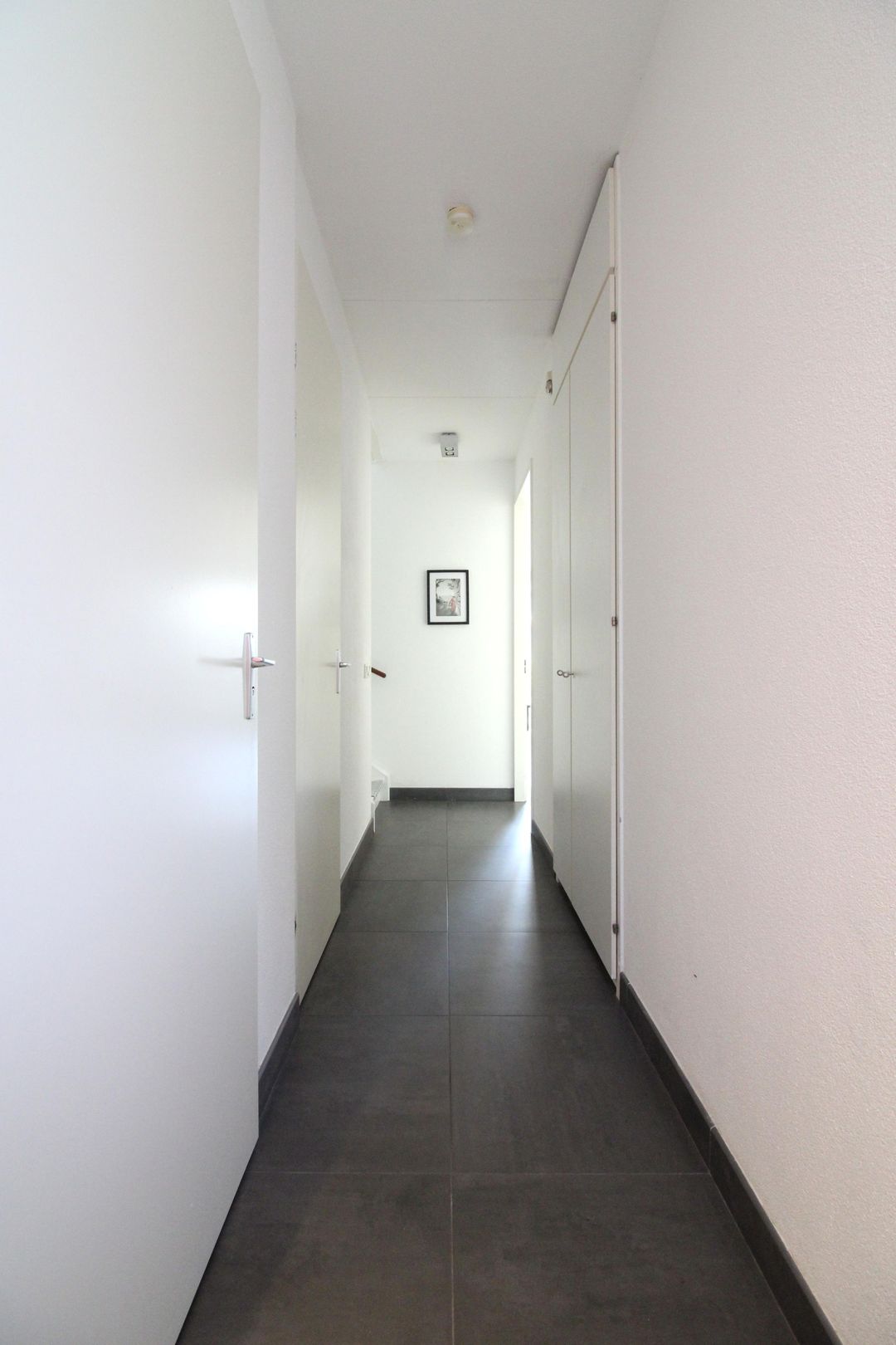 Photo 8 of Grasplant 24