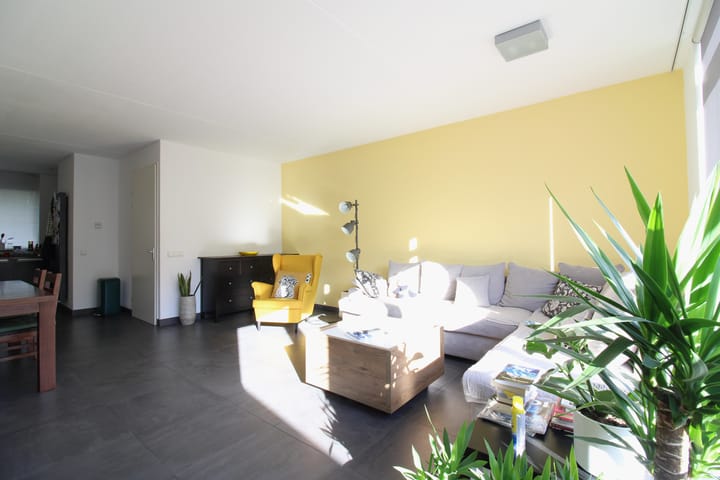 Foto 2 van Grasplant 24