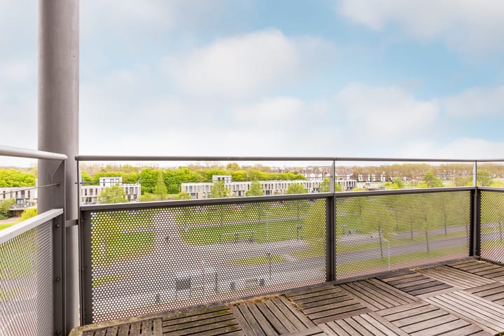 Photo 19 of Lauwers 28