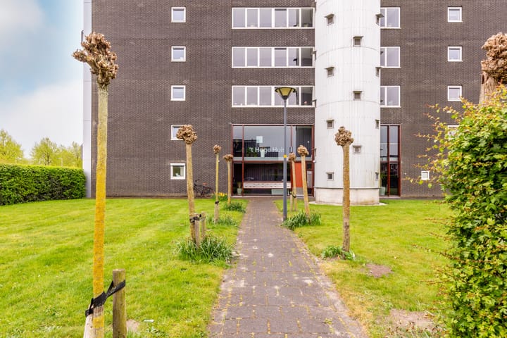 Photo 22 of Lauwers 28