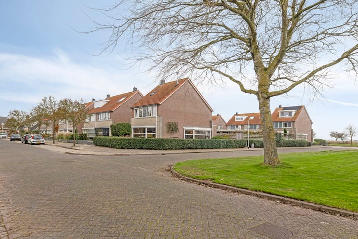 Foto 2 van Boterzwin 4401