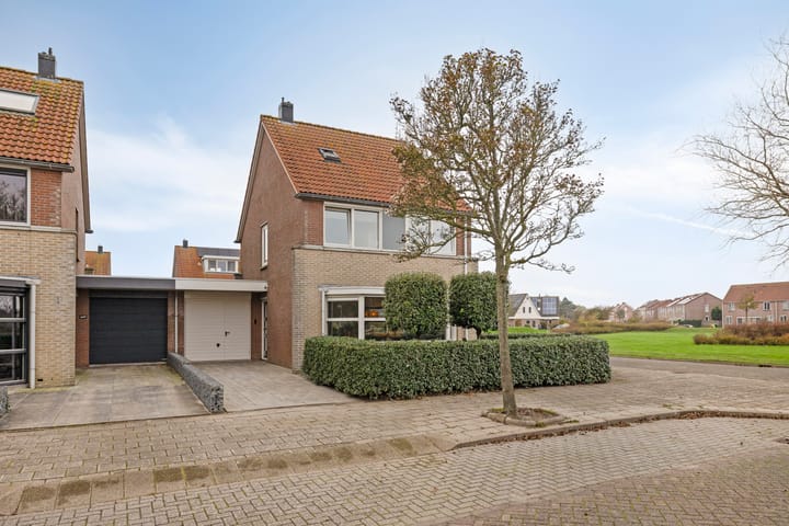 Foto 3 van Boterzwin 4401