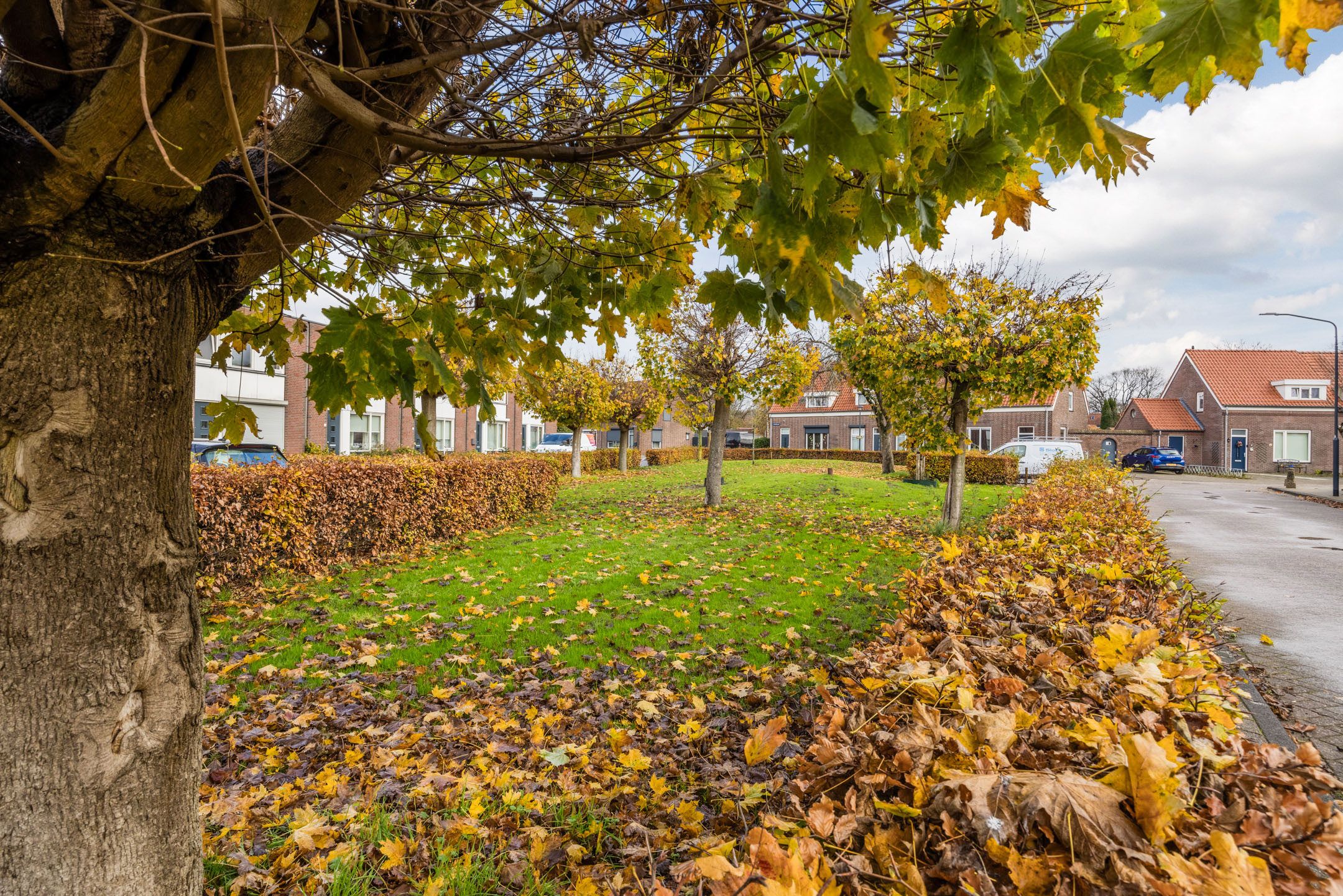 Foto 66 van Kastanjelaan 78