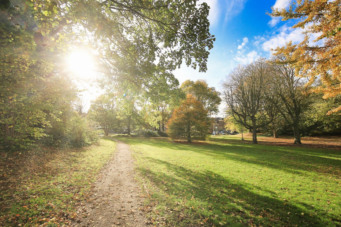 Foto 50 van Staten Bolwerk 54