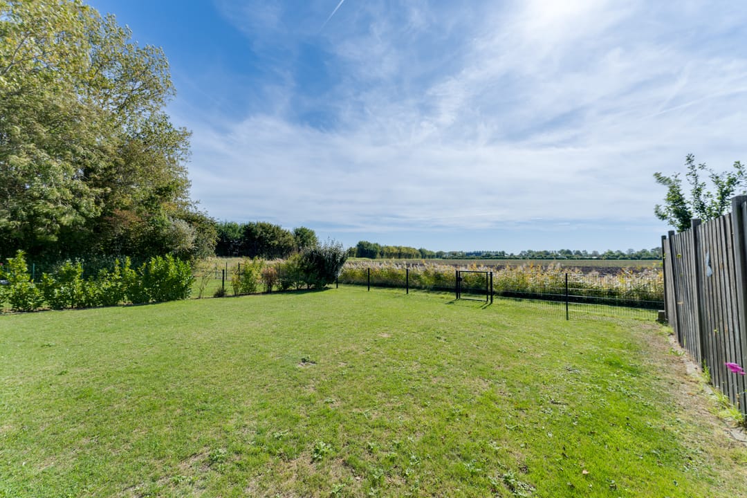 Photo 28 of Lamsoor 26