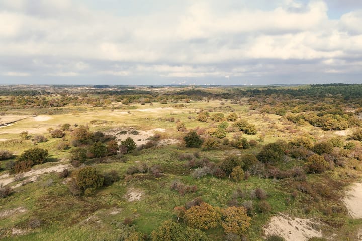 Photo 29 of Saxenrodeweg 92
