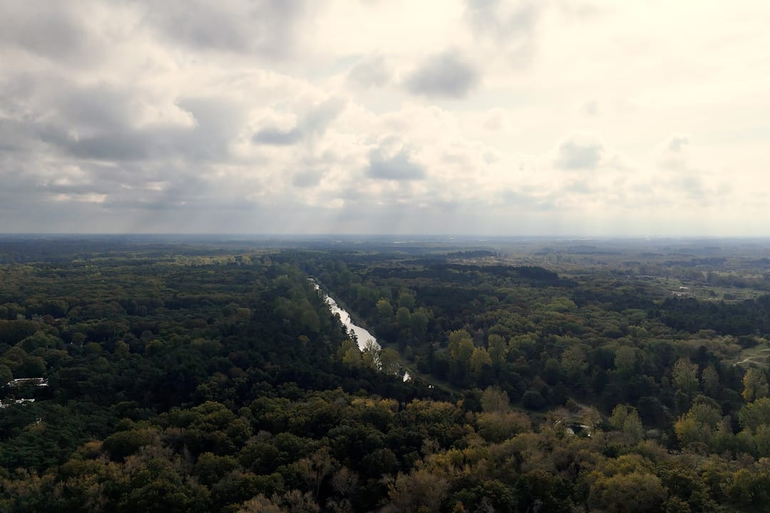 Foto 31 van Saxenrodeweg 92