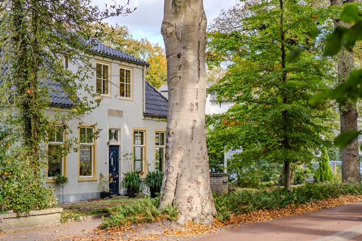 Photo 23 of Hoflaan 16