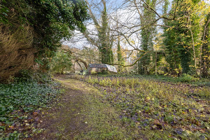 Foto 4 van Uiterburen 64