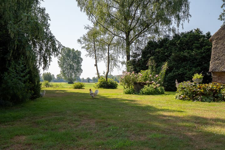 Foto 15 van Plasdijk 20