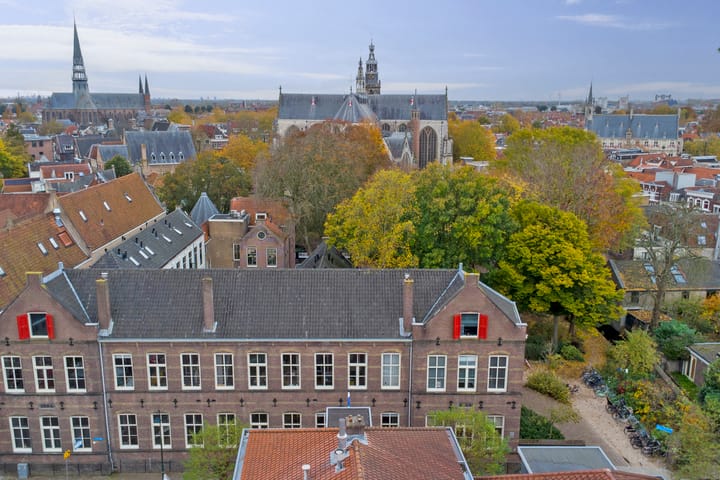 Foto 32 van Raoul Wallenbergplantsoen 13