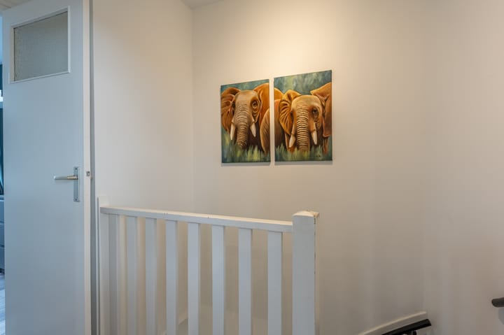 Foto 12 van Arie van Drielstraat 19