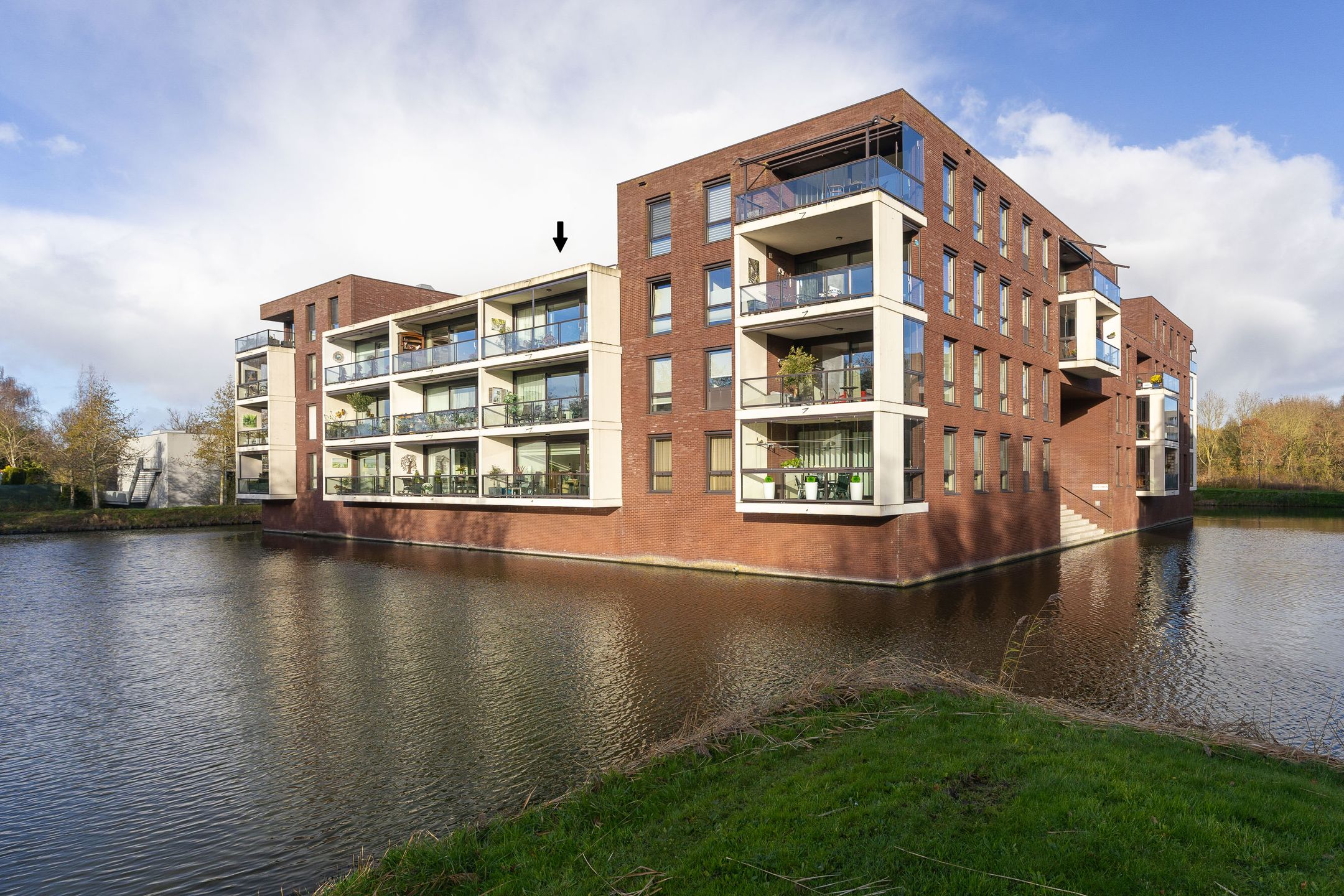 IJsvogel, 23, Blokker, 1695LE, Noord-Holland, Nederland 23 