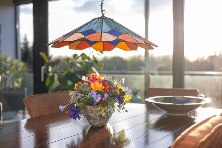 Foto 20 van IJsvogel 23