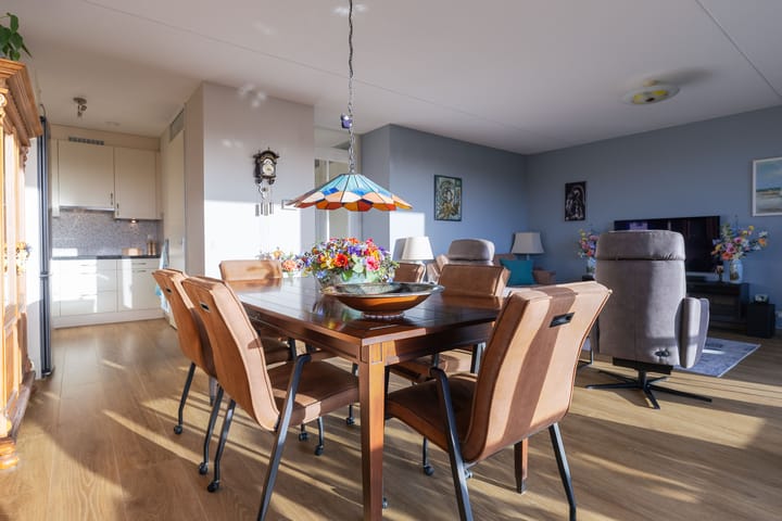 Foto 22 van IJsvogel 23