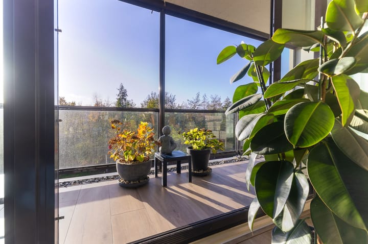 Foto 26 van IJsvogel 23