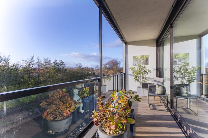 Foto 28 van IJsvogel 23