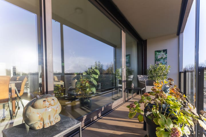 Foto 29 van IJsvogel 23