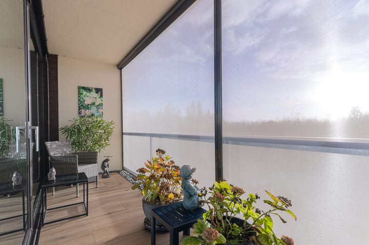 Foto 27 van IJsvogel 23