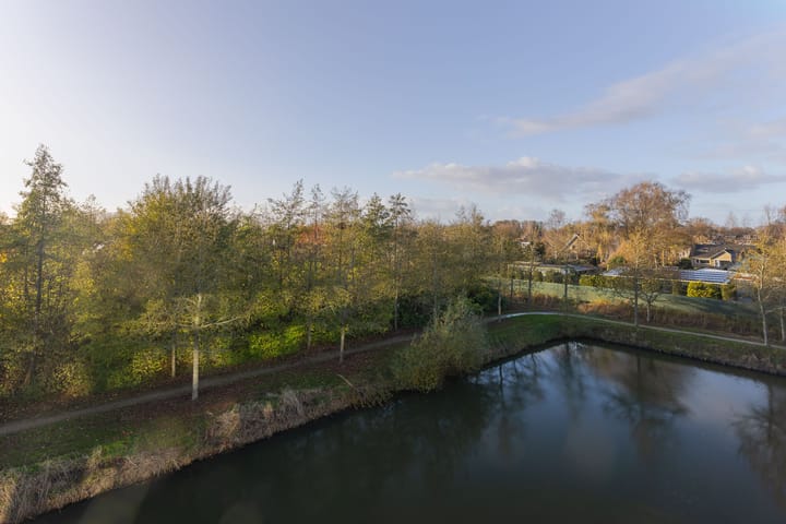 Foto 31 van IJsvogel 23