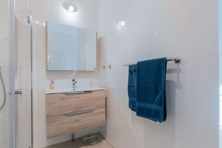 Foto 39 van IJsvogel 23