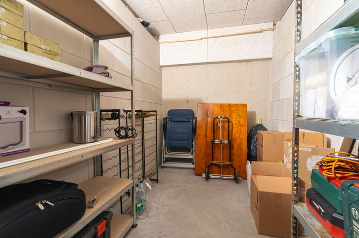 Foto 42 van IJsvogel 23