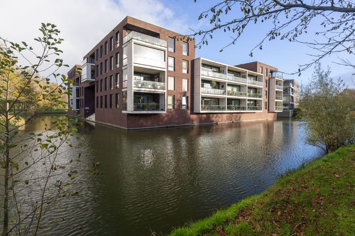 Foto 45 van IJsvogel 23