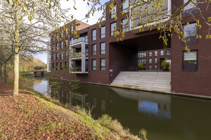 Foto 47 van IJsvogel 23