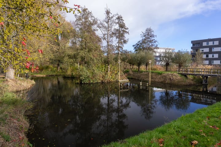 Foto 48 van IJsvogel 23