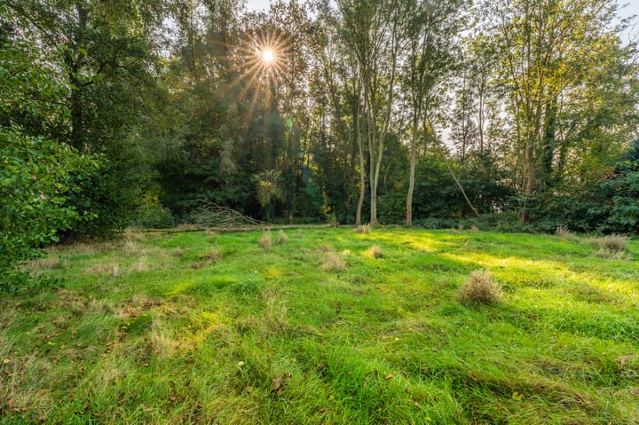 Foto 10 van Werkhuislaan 5